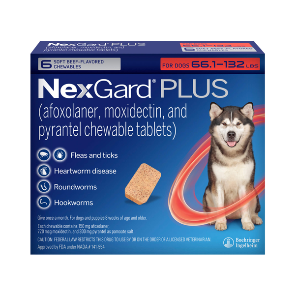 How to Help Prevent Itching in Dogs and Cats 8 Tips