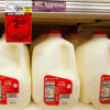 U.S. orders cow testing for bird flu after grocery milk tests positive<br>