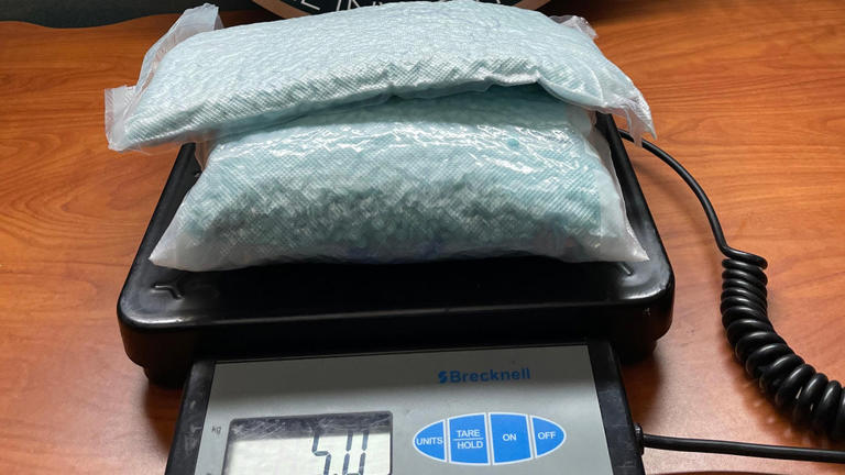 20,000 fentanyl pills seized in largest drug bust in Martin County history