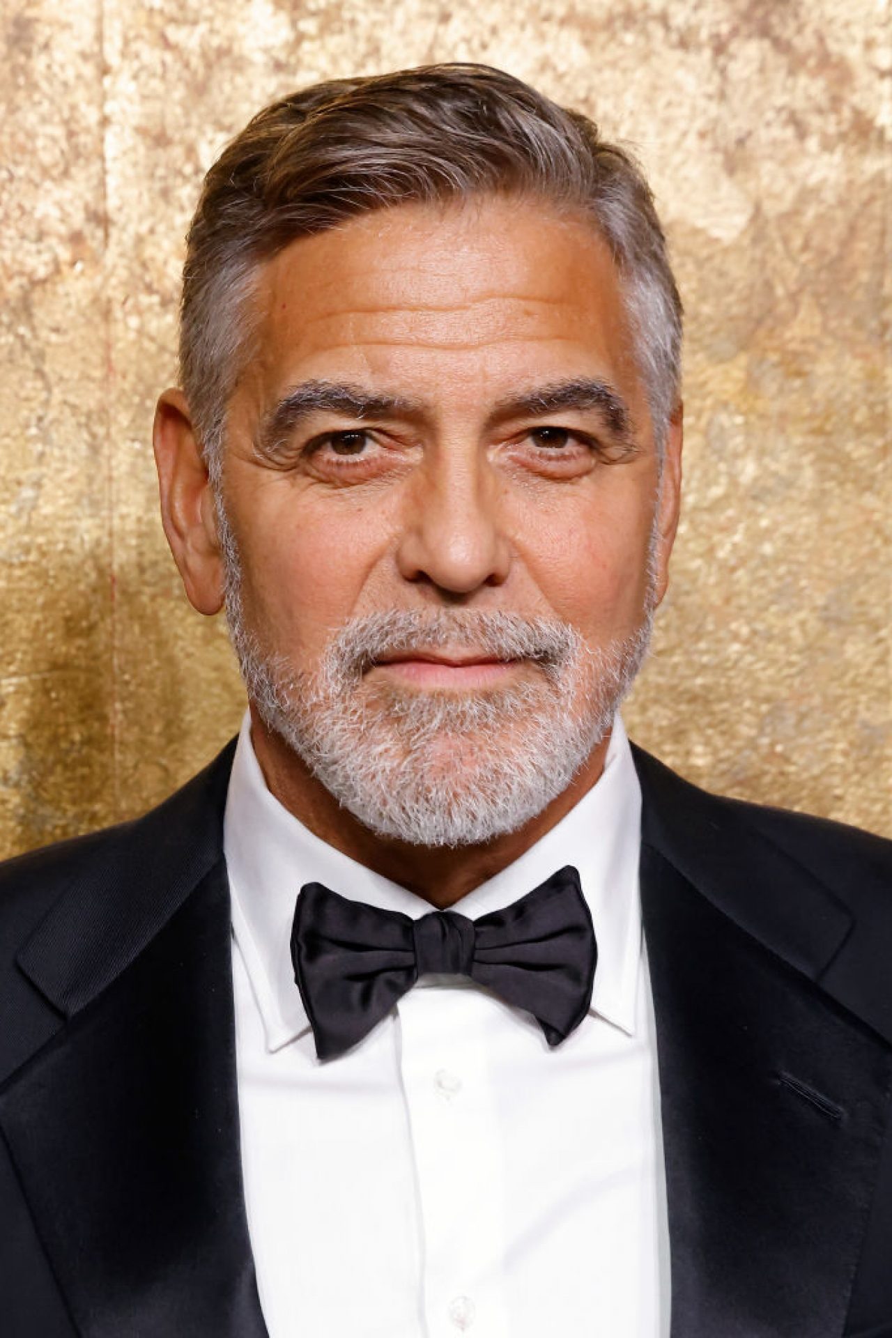 A guide to taking your dog on a road trip