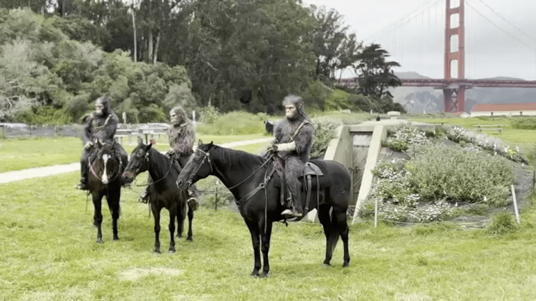 Apes riding horses spotted on San Francisco beach. Here's why