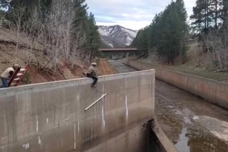 Wildlife officer saves two young mountain lions trapped in spillway in ...