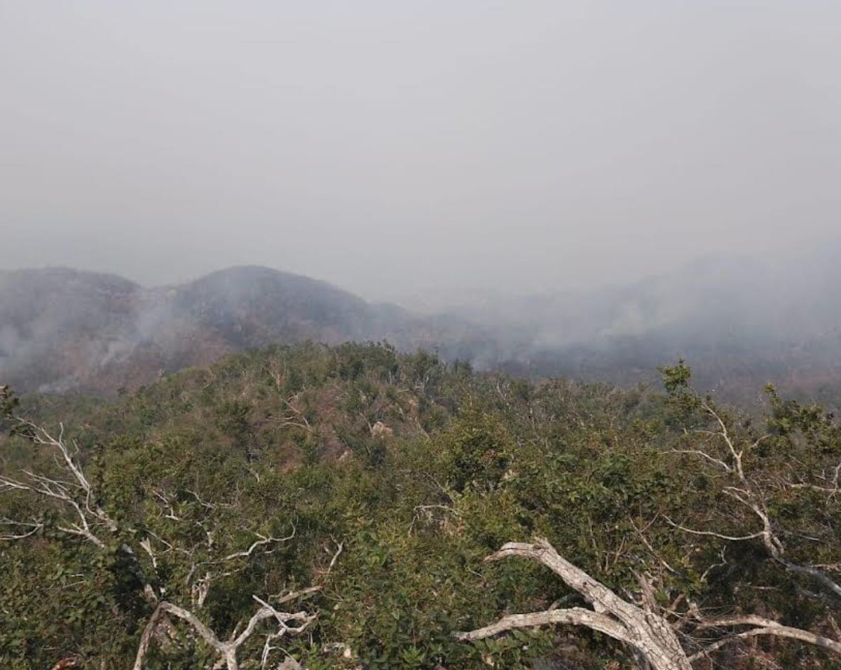 suspenden clases en acapulco y chilpancingo por humo de incendios forestales