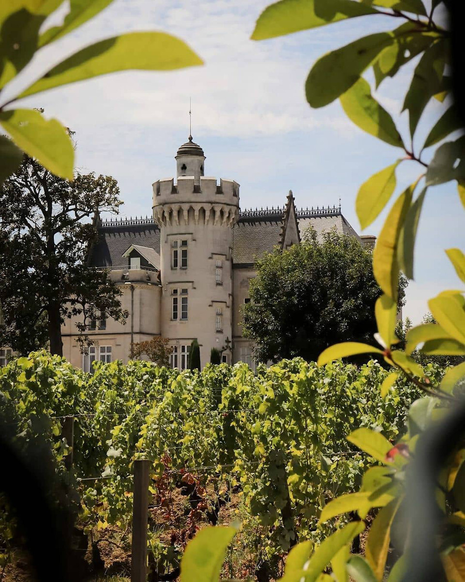 The most beautiful vineyards in the world