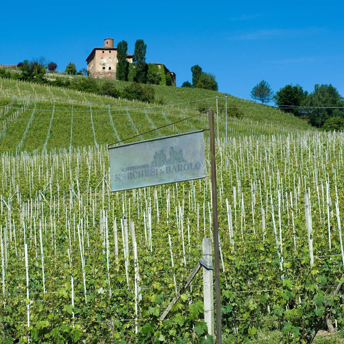 The most beautiful vineyards in the world