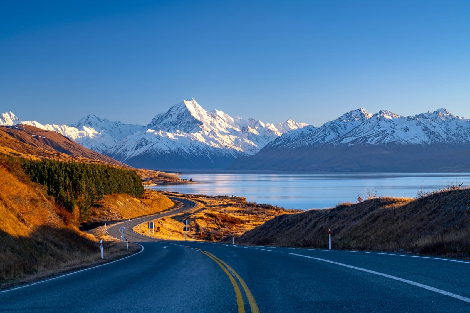 <p class="wp-caption-text">Image Credit: Shutterstock / Nur Ismail Photography</p>  <p>With its unparalleled natural beauty, New Zealand seeks skilled individuals in agriculture, IT, and healthcare, offering a balanced lifestyle. IT professionals can expect to earn NZD 70,000 to NZD 100,000 in a country where adventure and tranquility coexist.</p>