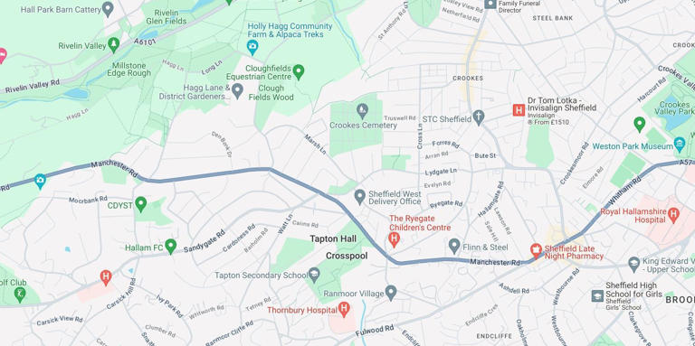 Sheffield City Council elections: the Liberal Democrats are targeting ...