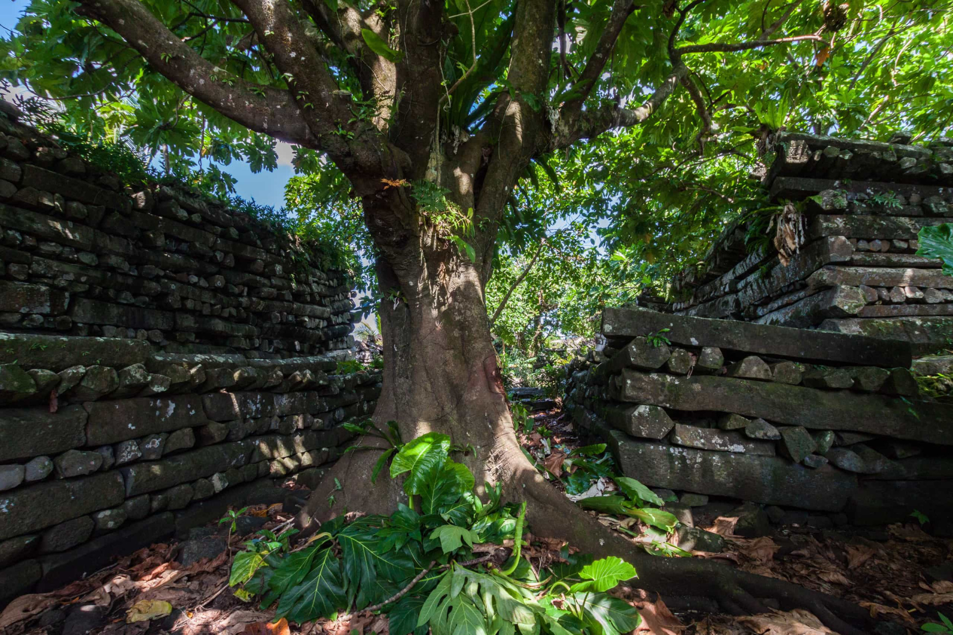 Mythologie komt om de hoek kijken