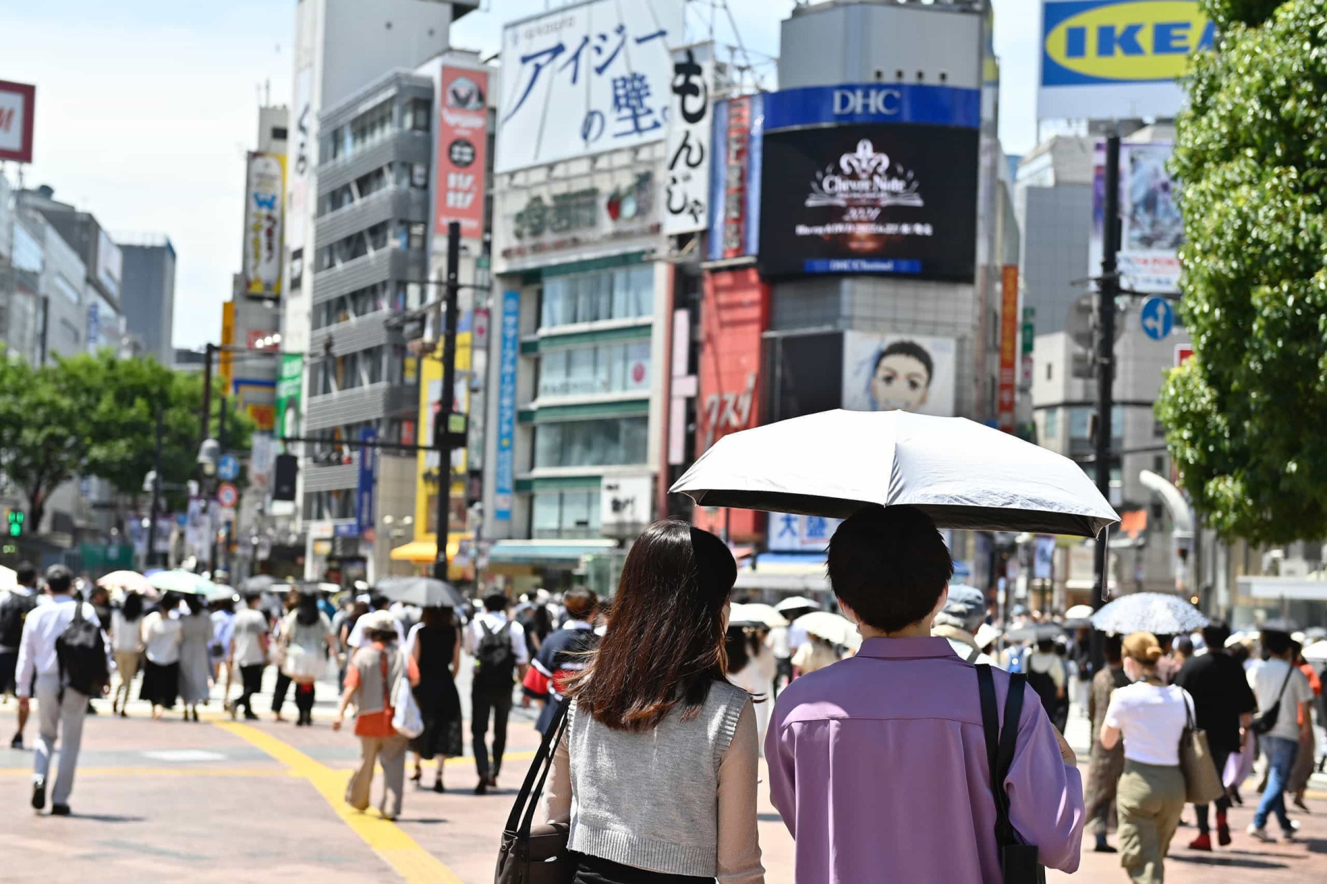 <p>La planète se <a href="https://befr.starsinsider.com/travel/355665/voici-les-endroits-les-plus-chauds-sur-terre" rel="noopener">réchauffe</a> à vive allure et chaque été le mercure s'affole. Le Japon connaît la pire vague de chaleur à ce jour, puisque la température dans le centre de Tokyo a dépassé 35°C le 3 juillet pour un neuvième jour consécutif, soit un jour de plus que le précédent record établi en 2015. Dans le même temps, la ville d'Isesaki, au nord-ouest de Tokyo, a enregistré un record de 40,2 °C. La chaleur étouffante a suscité des mises en garde officielles contre une pénurie d'électricité imminente.</p> <p>Juin 2018 a été un mois extrêmement chaud, soumettant l'Europe, l'Asie, l'Afrique et l'Amérique du Nord à des températures jamais vues depuis 140 ans. Les spécialistes expliquent le phénomène par la présence de courants d'air chaud, immobilisés au-dessus des terres par des zones de forte pression atmosphérique et l'absence de couverture nuageuse. Selon l'OMS, le réchauffement de la planète est responsable de ces températures extrêmes et leurs effets sur l'Homme sont indéniables. Depuis quelques années, le taux de mortalité parmi les personnes âgées n'a fait qu'augmenter, tout comme les sécheresses qui détruisent les cultures et la quantité d'algues vertes en mer Baltique, empoisonnant le reste des océans.</p> <p>Cette année encore, le scénario sera très certainement similaire en France. Le pays sera toutefois attentivement surveillé car en 2003, la canicule avait emporté la vie de 15 000 personnes, avec des températures atteignant par endroit les 44°C. Préparez-vous donc à combattre la chaleur en vous renseignant sur les canicules les plus spectaculaires jamais enregistrées, aux quatre coins du globe.</p><p>Tu pourrais aussi aimer:<a href="https://www.starsinsider.com/n/129228?utm_source=msn.com&utm_medium=display&utm_campaign=referral_description&utm_content=375249v3"> 30 infos fascinantes sur le mystère des jumeaux </a></p>