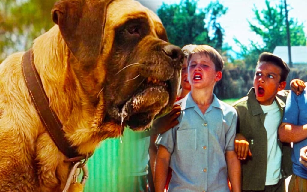 10 Most Iconic Movie Dogs