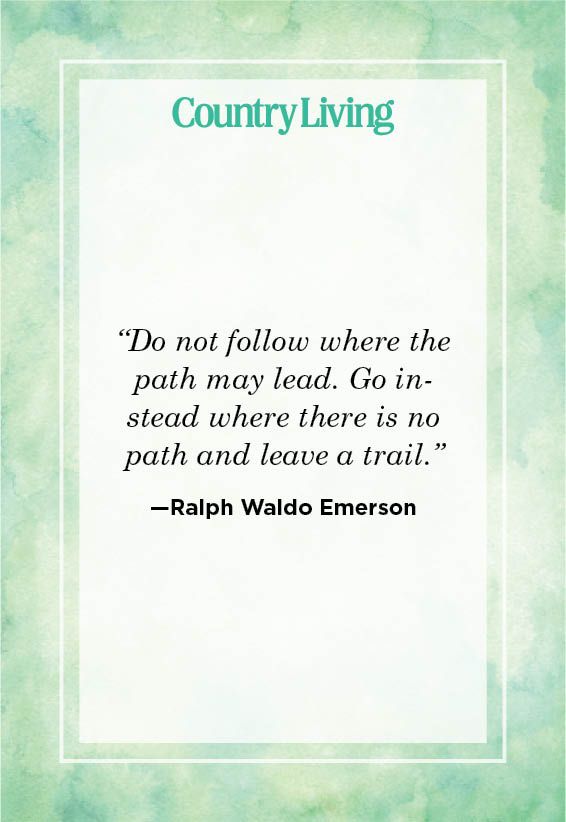 <p>“Do not follow where the path may lead. Go instead where there is no path and leave a trail.”</p>