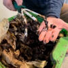 Beyond the Bin: What is composting?<br>