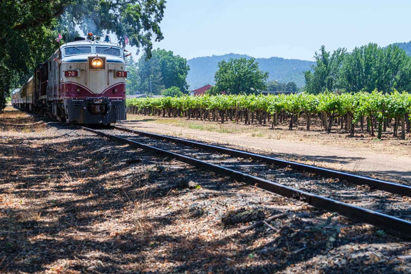 <p class="wp-caption-text">Image Credit: Shutterstock / Paul Thomas Curry</p>  <p><span>The Napa Valley Wine Train is an iconic journey that captures the essence of Napa Valley’s winemaking tradition. Travelers are invited aboard vintage railcars, where they are treated to a fusion of scenic beauty, gourmet cuisine, and the finest local wines. As the train weaves through the heart of Napa Valley, passengers witness the changing landscapes of vineyards and mountains, making it a unique way to experience the region’s viticultural heritage.</span></p>