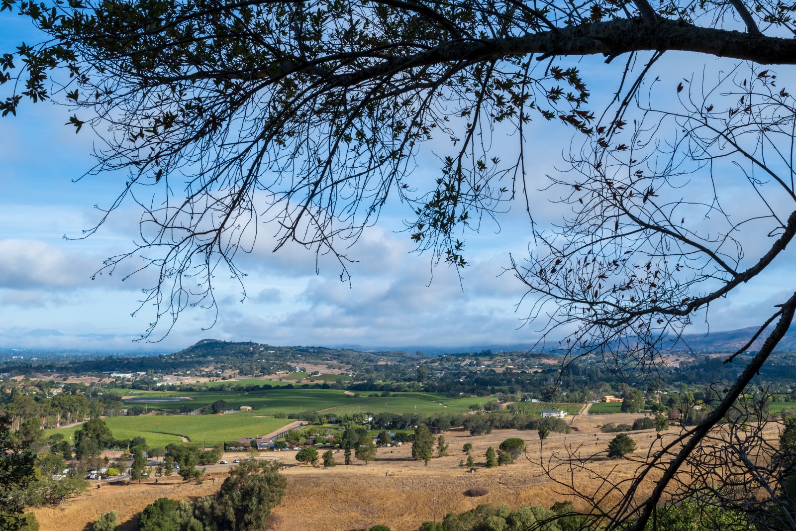 <p class="wp-caption-text">Image Credit: Shutterstock / AlessandraRC</p>  <p><span>Skyline Wilderness Park presents a different side of Napa Valley that appeals to outdoor enthusiasts and nature lovers. Spanning over 850 acres, this park offers a variety of trails for hiking, mountain biking, and horseback riding, each providing unique views of the valley and its surrounding natural beauty. The park is not only a haven for recreational activities but also a sanctuary for local wildlife, offering visitors a chance to connect with the natural environment of Napa Valley. The diverse landscapes, from dense forests to open meadows, make Skyline Wilderness Park a must-visit for those exploring the great outdoors.</span></p>