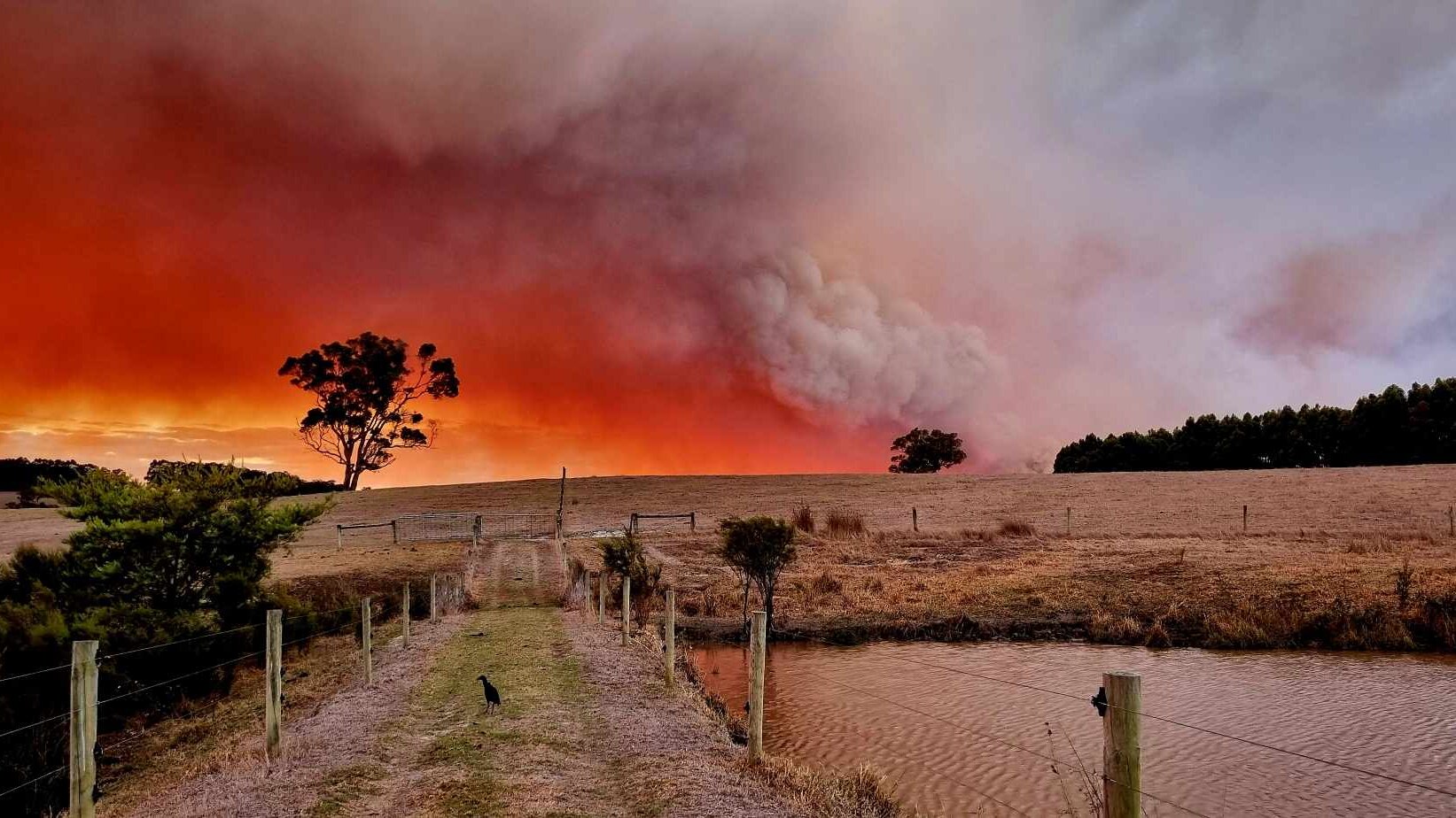 Bushfire emergency eases after 'deliberately lit' blaze threatens WA ...