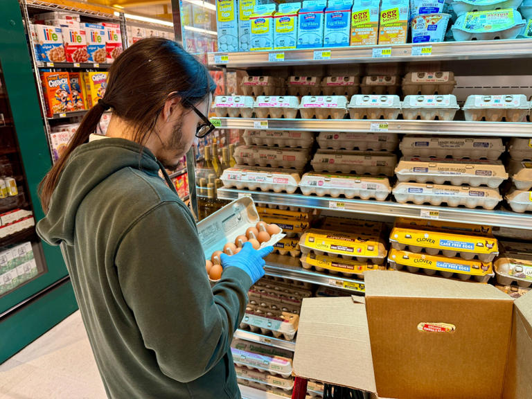 A grocery store employee stocks cartons of eggs at a market in Sonoma County, California, where avian flu infections shut down a cluster of egg farms in recent months. Terry Chea/AP Photo