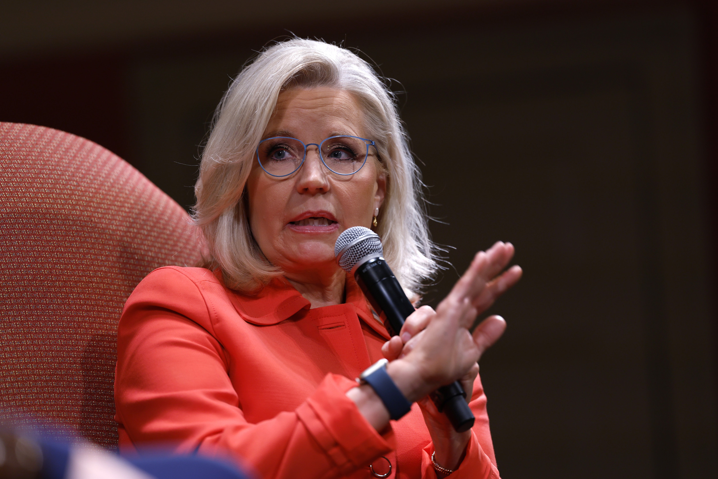liz cheney issues warning about gop after trump ally indicted