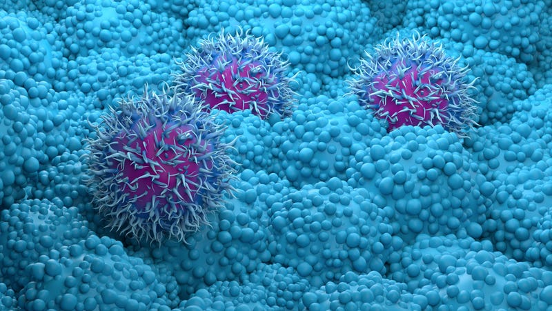 los científicos ahora pueden ver el interior de una única célula cancerosa