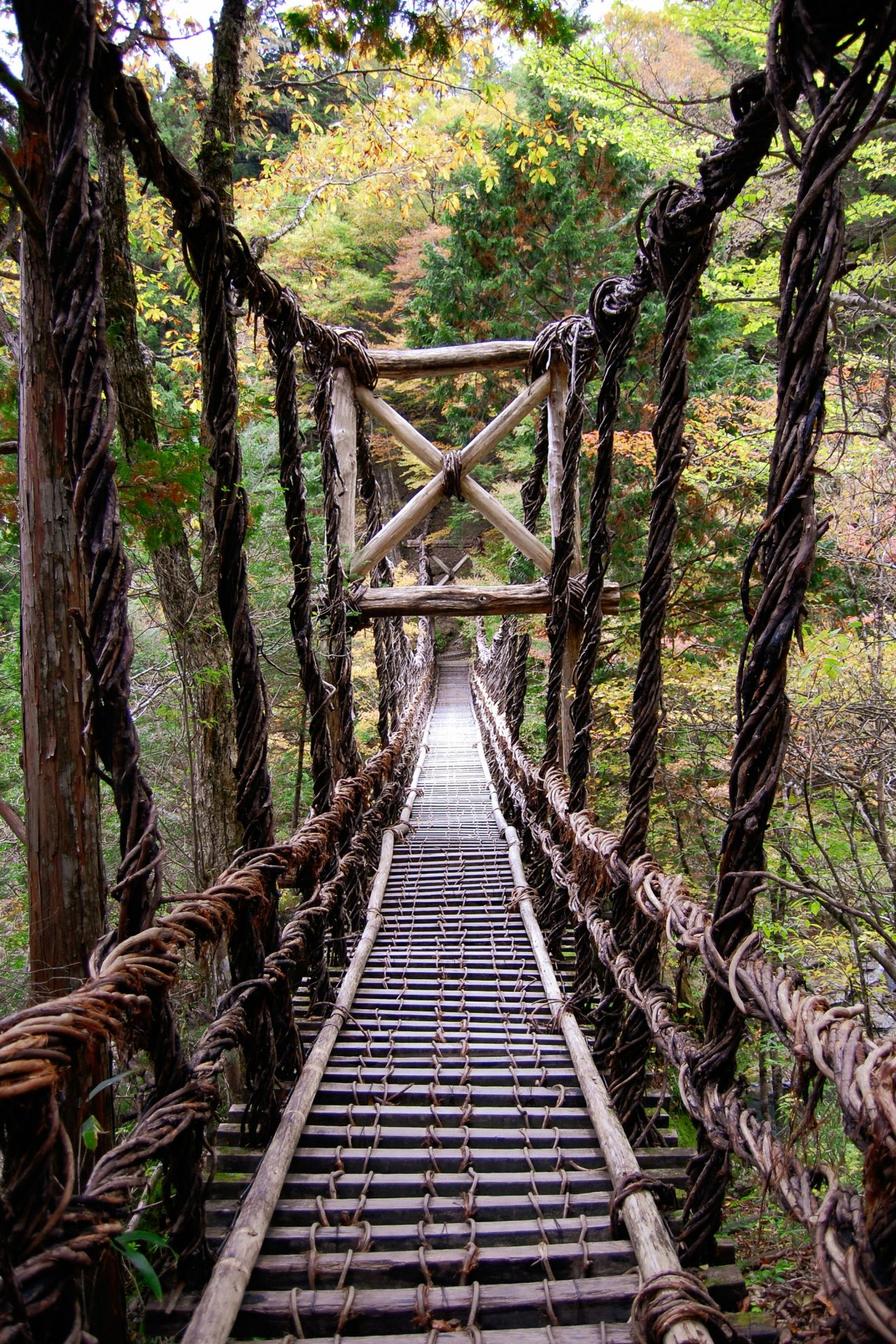 <p>Legend has it that the Heike fugitives who lived in hiding in Iya built this bridge so that they could easily cut it off and escape in case their pursuers approached. It is currently reinforced with wire, but the trees that serve as footholds are wide apart and the bottom of the valley is completely visible. Therefore, it is not recommended for people who are afraid of heights.</p> <p>Image: Susann Schuster / Unsplash</p>