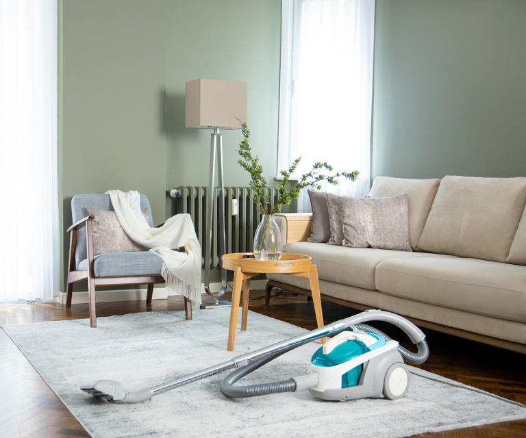 Exterminators reveal what to always do after you've vacuumed a pest problem