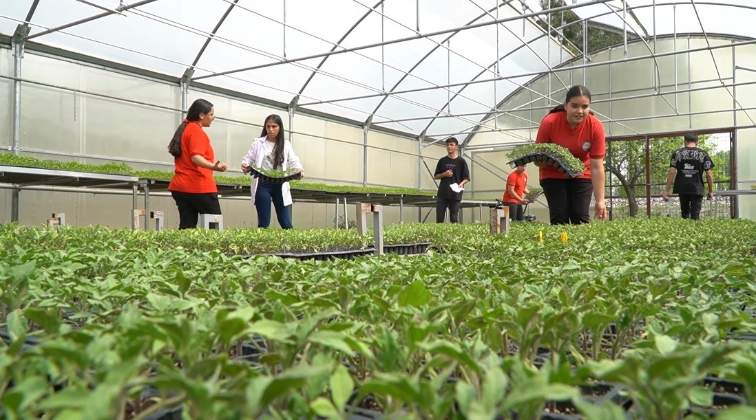 erzincan’da tarım bölümü öğrencileri hem öğreniyor, hem üretiyor