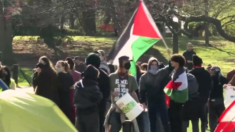 Northwestern University students set up pro-Palestine tent encampment on campus