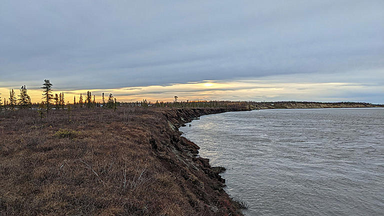 A permafrost riverbank near Huslia, Alaska, exhibits signs of erosion. Credit: Madison Douglas, thanking the Huslia Tribal Council for land access