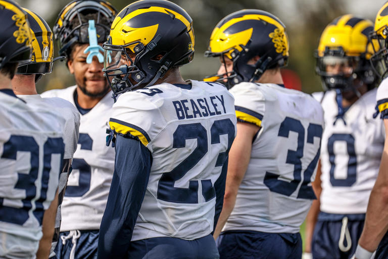 Michigan football loses early enrollee to transfer portal