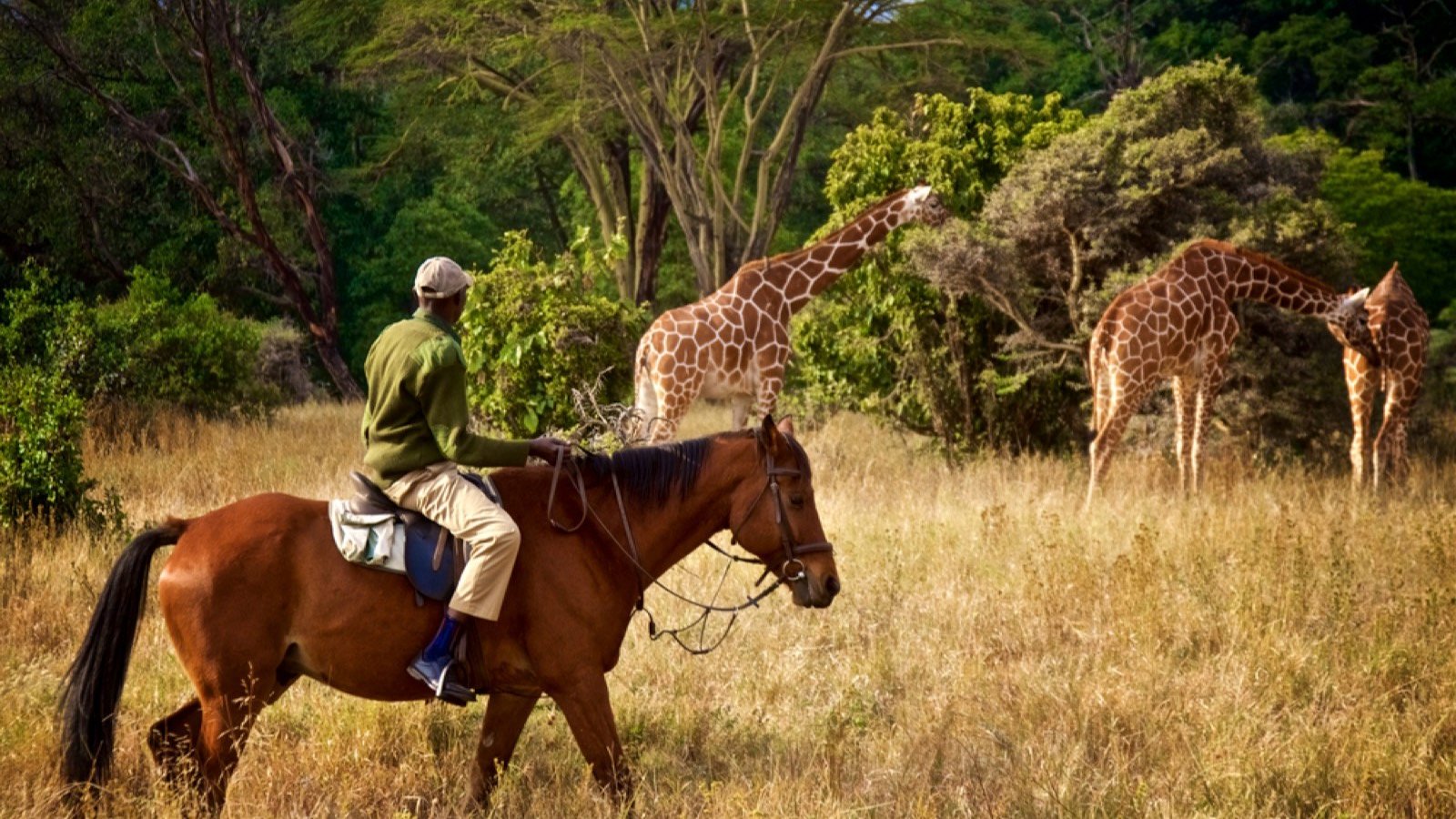 <p>If you want to get close to wildlife, riding a surefooted horse across the plains is the way to go. You can see enormous herds of zebra, giraffe, wildebeest, and more. Because horses are prey animals, you can get closer to South Africa’s wildlife, as horses are not a threat to them.</p><p>Your horseback safari may last a few hours or days and can vary from “roughing it” to luxury mobile camping experiences.</p>