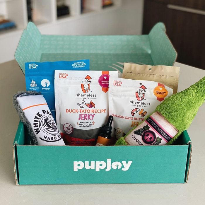 8 Best Dog Subscription Boxes Your Pooch Will Love