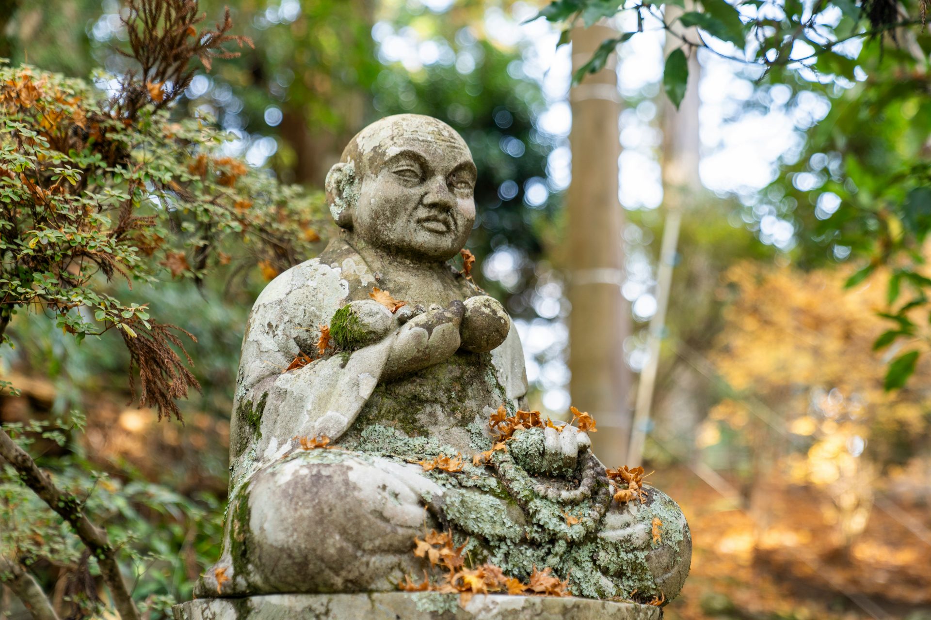 <p>Shikoku is a place of pilgrimage. They say that if you visit the 88 sacred sites associated with Kukai Buddhism, your earthly desires will disappear and your wishes will come true.</p> <p>Image: Hendrik Morkel / Unsplash</p>