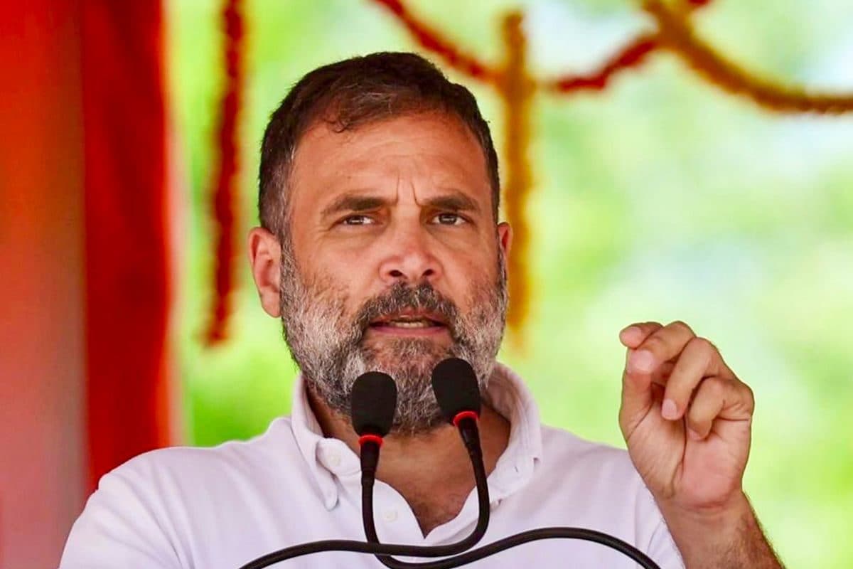 ‘i am 50% in population, i want 50% in wealth’: rahul gandhi again stirs poll pot with 'redistribution' ladle