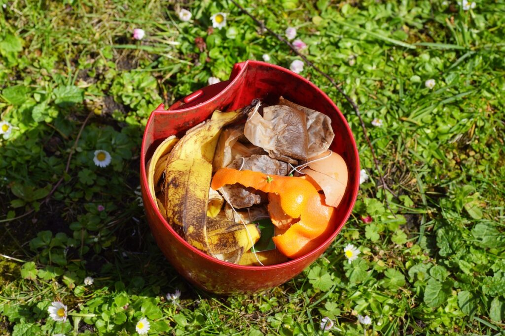 7 astuces originales et très pratiques pour réutiliser le thé usagé dans son jardin