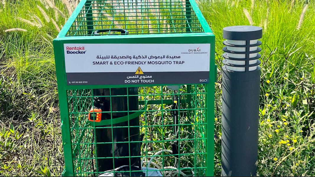 pest control measures stepped up to control mosquito population after uae flooding