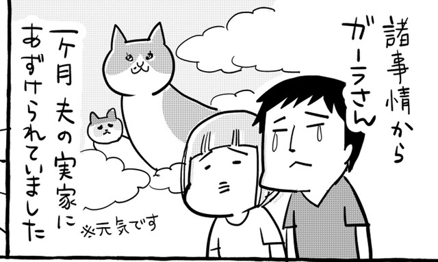 漫画】1ヶ月ぶりに愛猫が帰ってきた…「これが猫なんだよなぁ」「推せる」「我が家が一番ですね！」