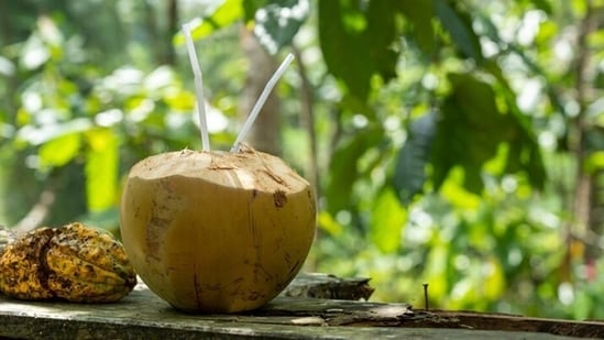 tender coconut water: amazing health benefits and best time to consume the summer drink
