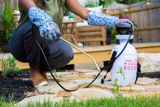 how to, does bleach really kill weeds? how to make a diy weed killer that actually works