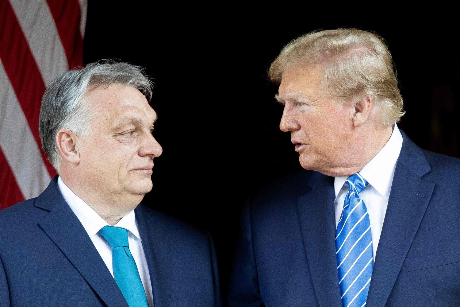 trump hylder orbán og lover tæt samarbejde som genvalgt præsident