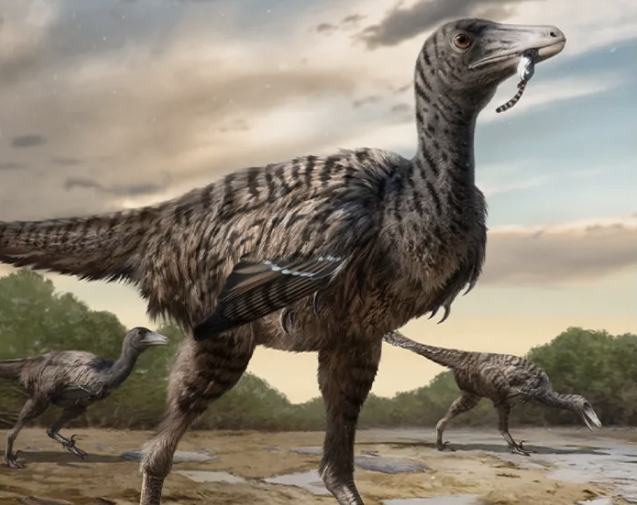 les traces d’un vélociraptor xxl, le plus grand de tous, découvertes par des chercheurs en chine