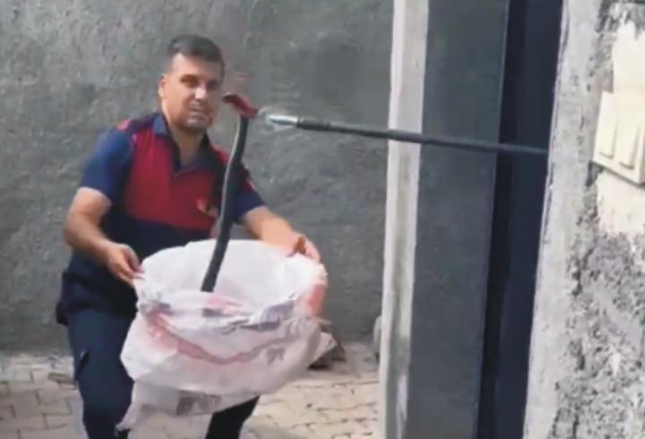 osmaniye’de, evde yakalanan yılan doğaya salındı