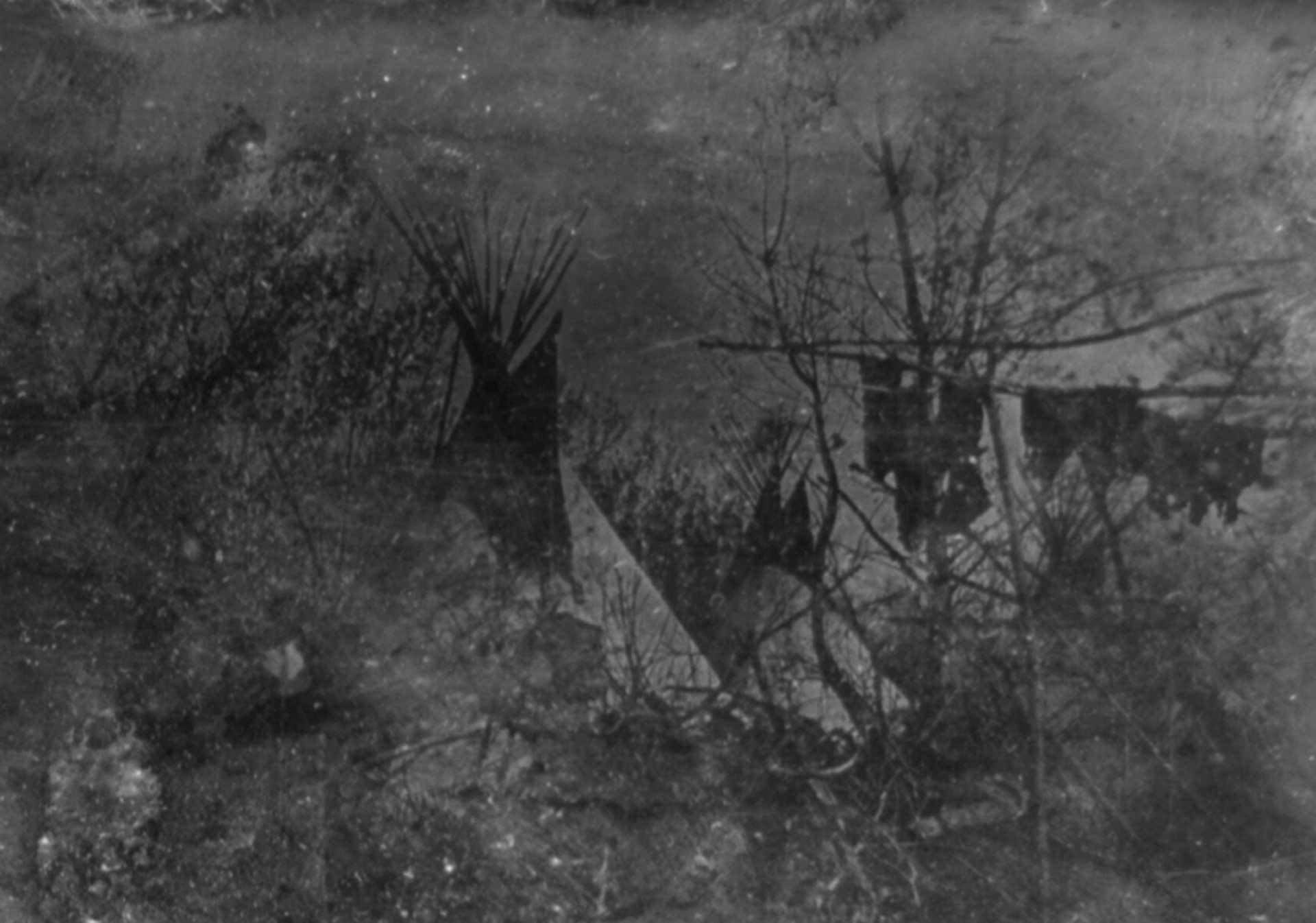 The first photograph ever taken (and other photo firsts)