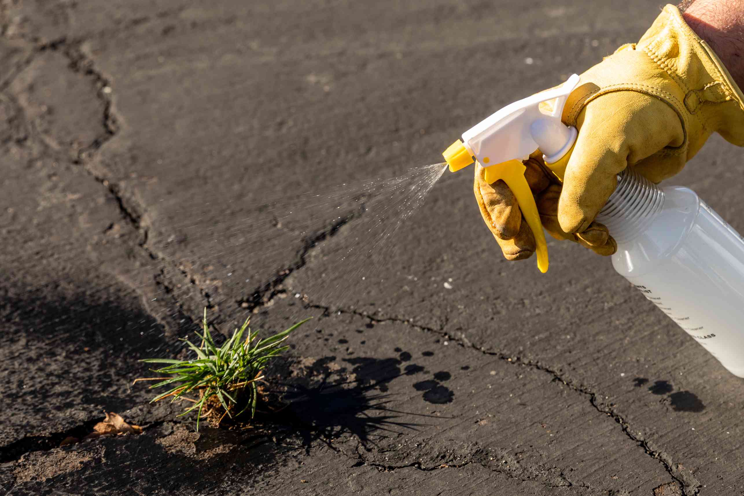 how to, does bleach really kill weeds? how to make a diy weed killer that actually works