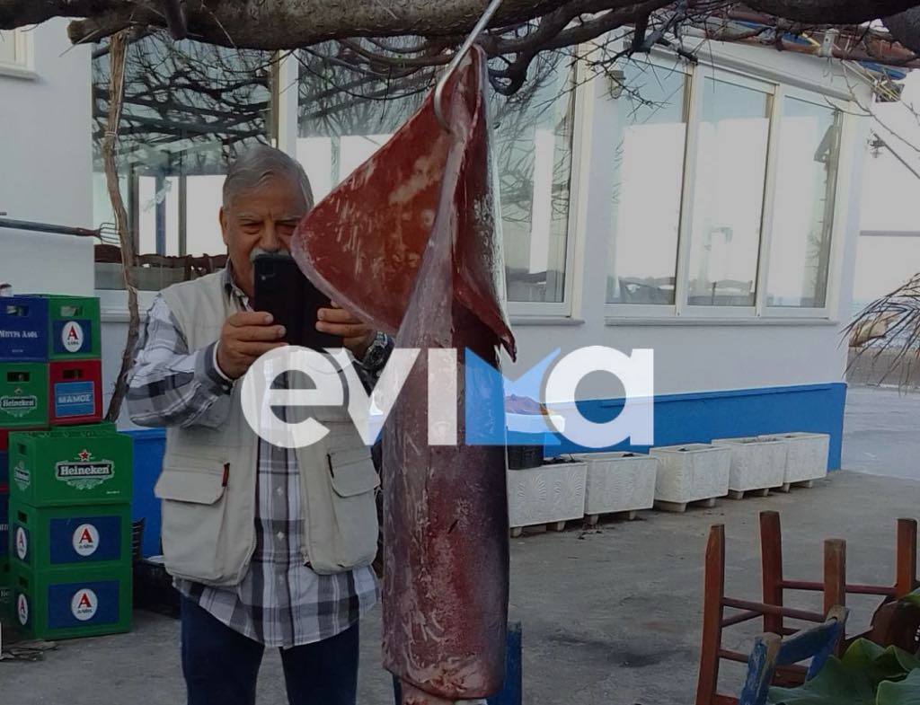 εύβοια: έπιασε καλαμάρι που ζυγίζει 15 κιλά – δείτε φωτογραφίες