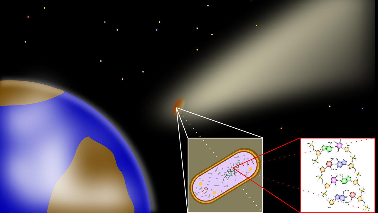 <p>The Lithopanspermia Hypothesis suggests that life on Earth may have originated from microorganisms hitchhiking on asteroids or comets from other planets. While this idea remains speculative, the discovery of extremophile organisms capable of surviving in space has lent some credence to the theory. If true, it would imply that life is more common in the universe than we previously thought.</p>