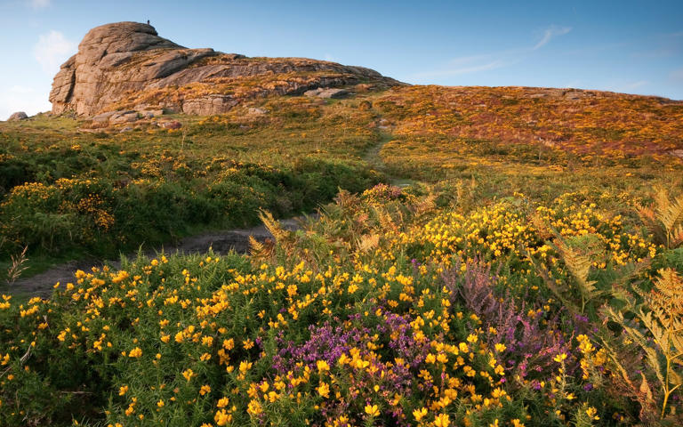 Dartmoor National Park is a 365 square-mile wilderness of wild moors, and one of the best things to do in Devon - Moorefam/Moorefam