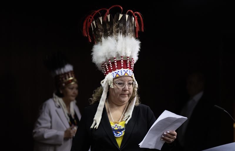 minister 'outraged' as afn national chief says headdress taken from air canada cabin