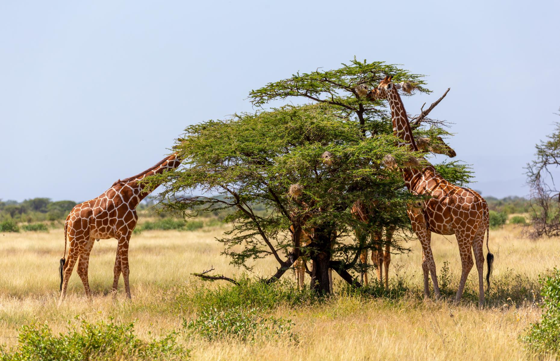 Incredible places where tourists are BANNED