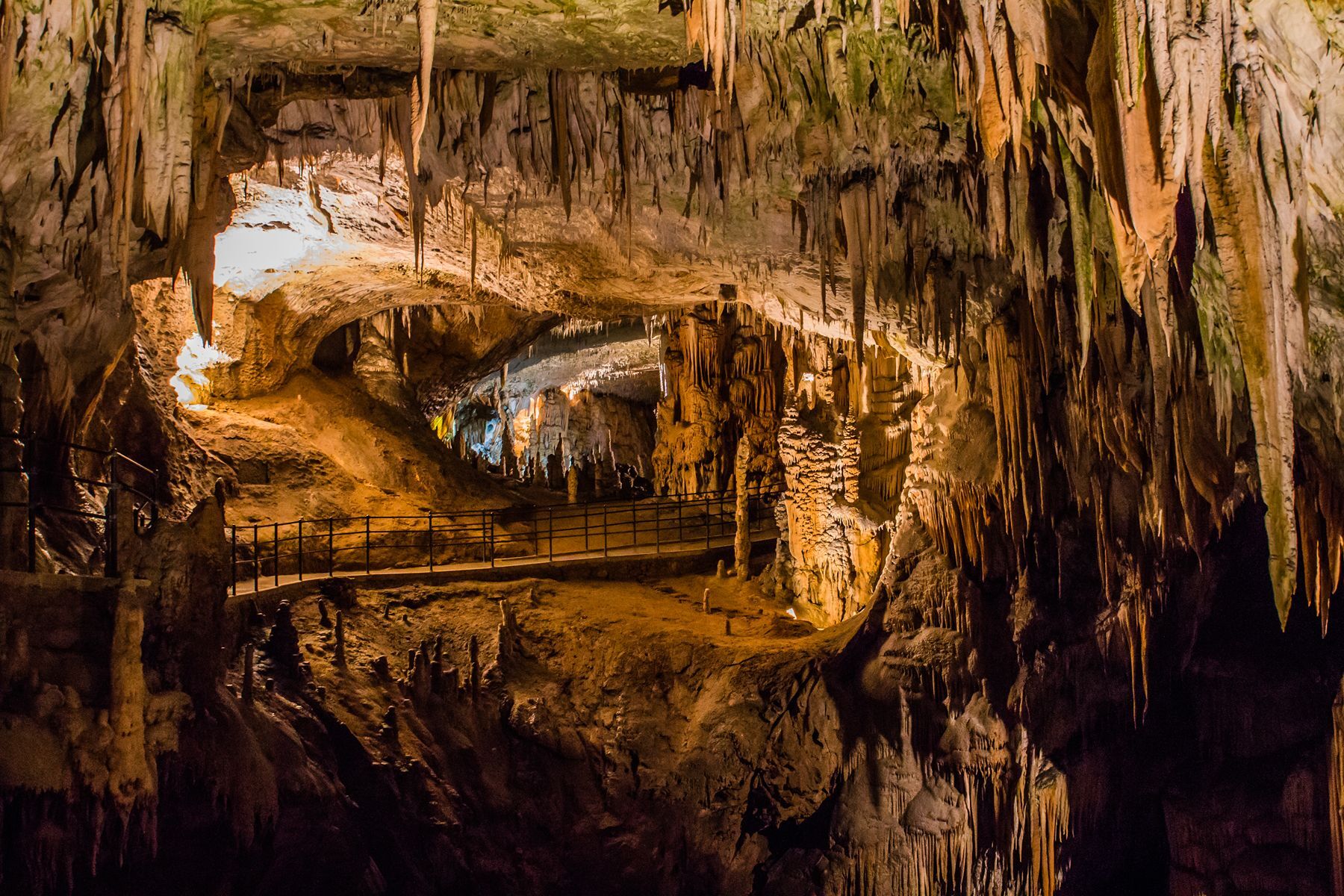 <p>One of the largest karst caves in the world, <a href="https://www.postojnska-jama.eu/en/postojna-cave/">Postojna Cave</a> is among Slovenia’s must-see natural treasures. To see its thousand-year-old stalactites, you’ll start with a guided electric train tour through hidden tunnels for an extra dose of adventure and wonder. The cave is also home to fascinating fauna like the olm, a rare aquatic salamander often likened to a baby dragon.</p>