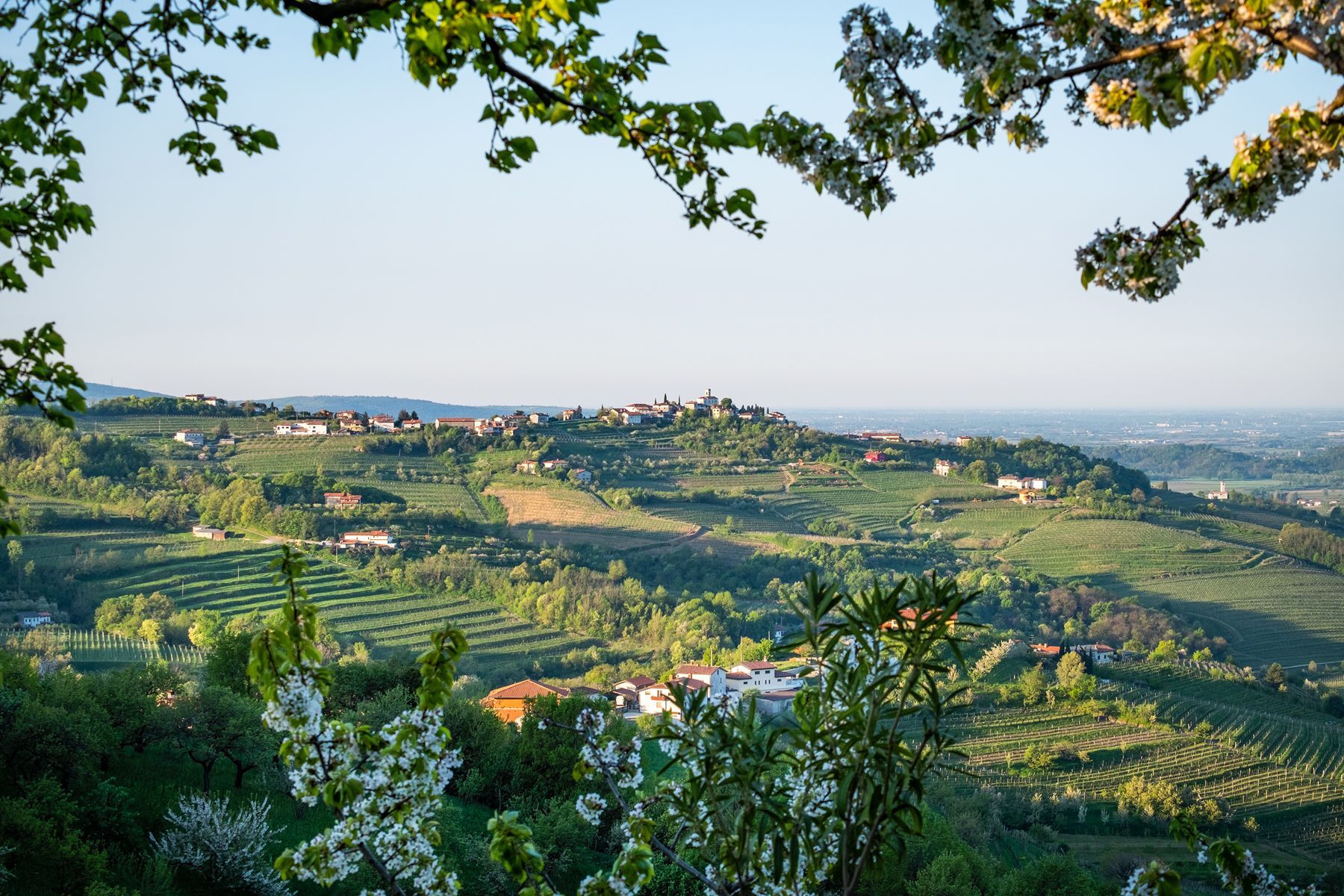 <p>Nicknamed the Tuscany of Slovenia, <a href="https://www.slovenia.info/en/places-to-go/regions/mediterranean-karst-slovenia/brda">Goriška Brda</a> is a can’t-miss destination for wine lovers. Located in western Slovenia, this region is renowned for its rolling green hills, beautiful terraces and, above all, excellent vineyards. Among the award-winning wine varieties you can sip while taking in sweeping views of the local countryside, we recommend a rebula or merlot. Fall is the best time to visit Goriška Brda, as you can catch the grape harvest along with nature’s most flamboyant colours.</p>