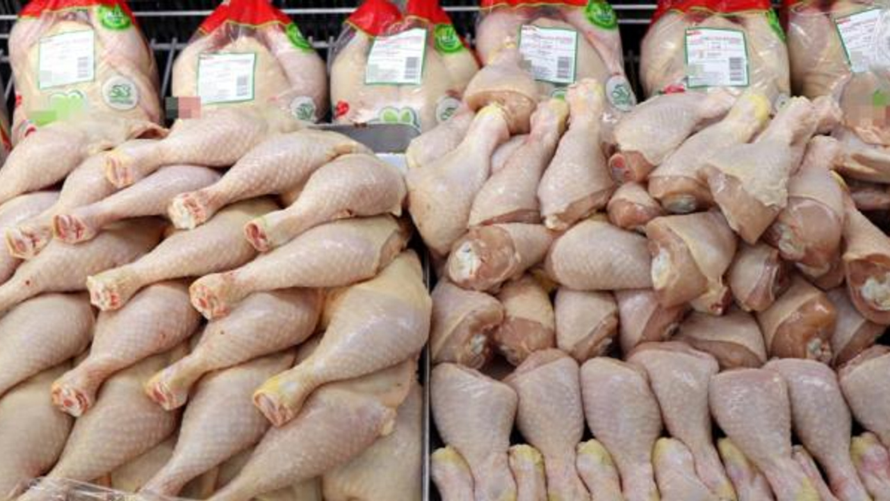 tavuk ihracatına yasak getiriliyor